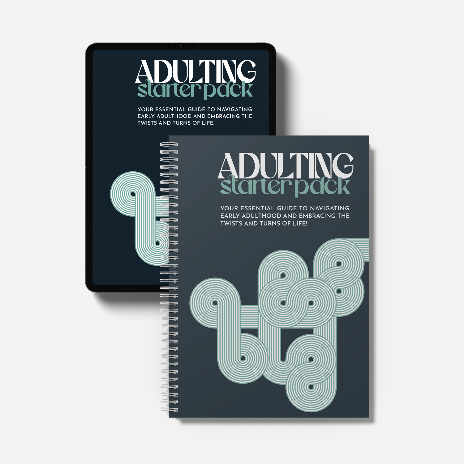 ADULTING STARTER PACK Bundle
